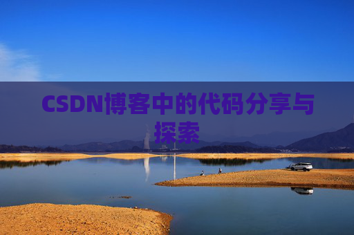 CSDN博客中的代码分享与探索